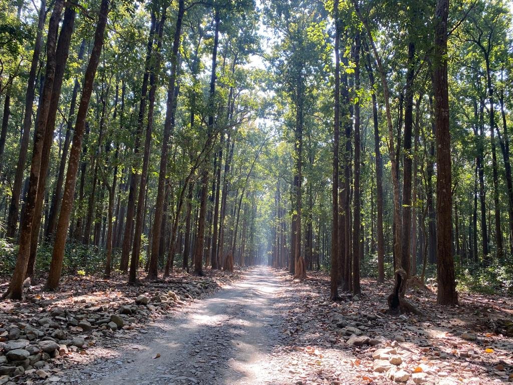 Dhela Eco Tourism Zone